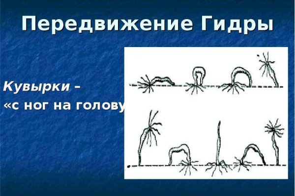 Kraken 19 at сайт