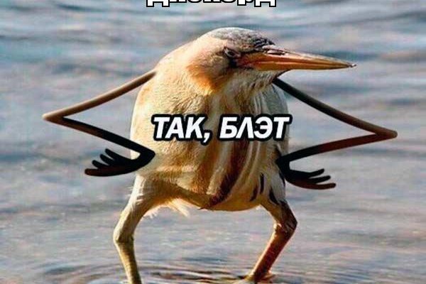 Кракен с айфона