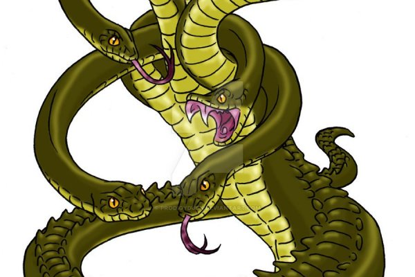 Kraken tor link