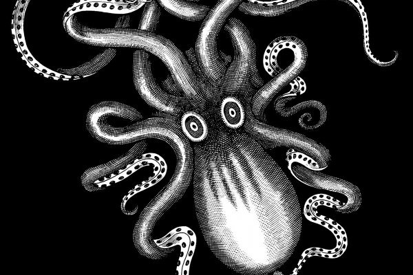 Kraken что это такое