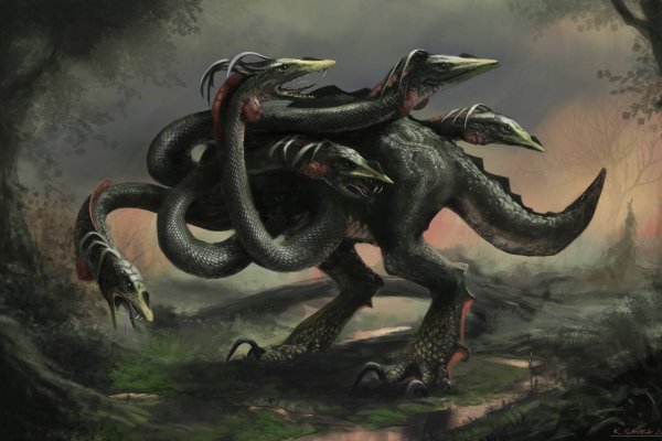 Ссылка на kraken at