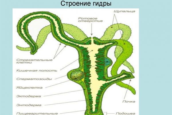 Какая сейчас ссылка на кракен