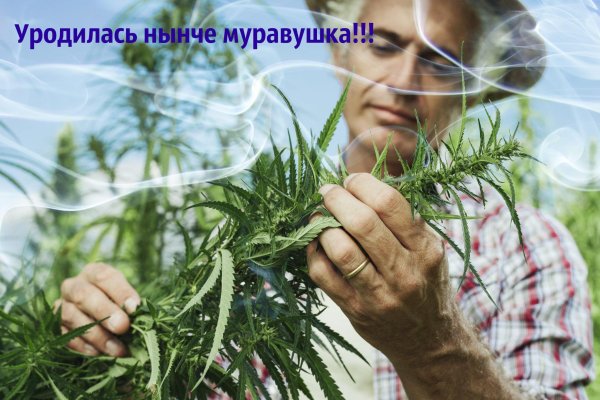 Кракен 12 сайт