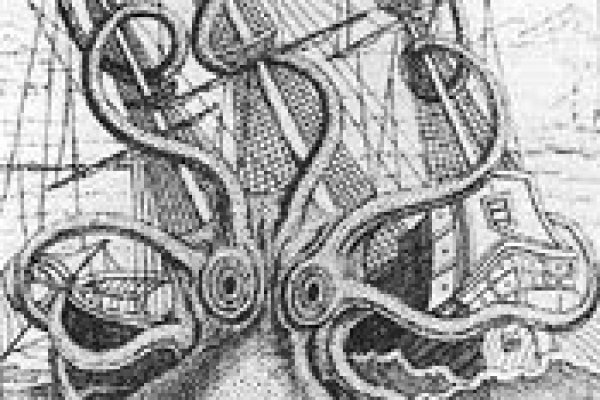Настоящий сайт kraken