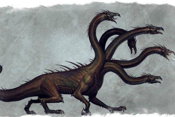 Kraken 12 at